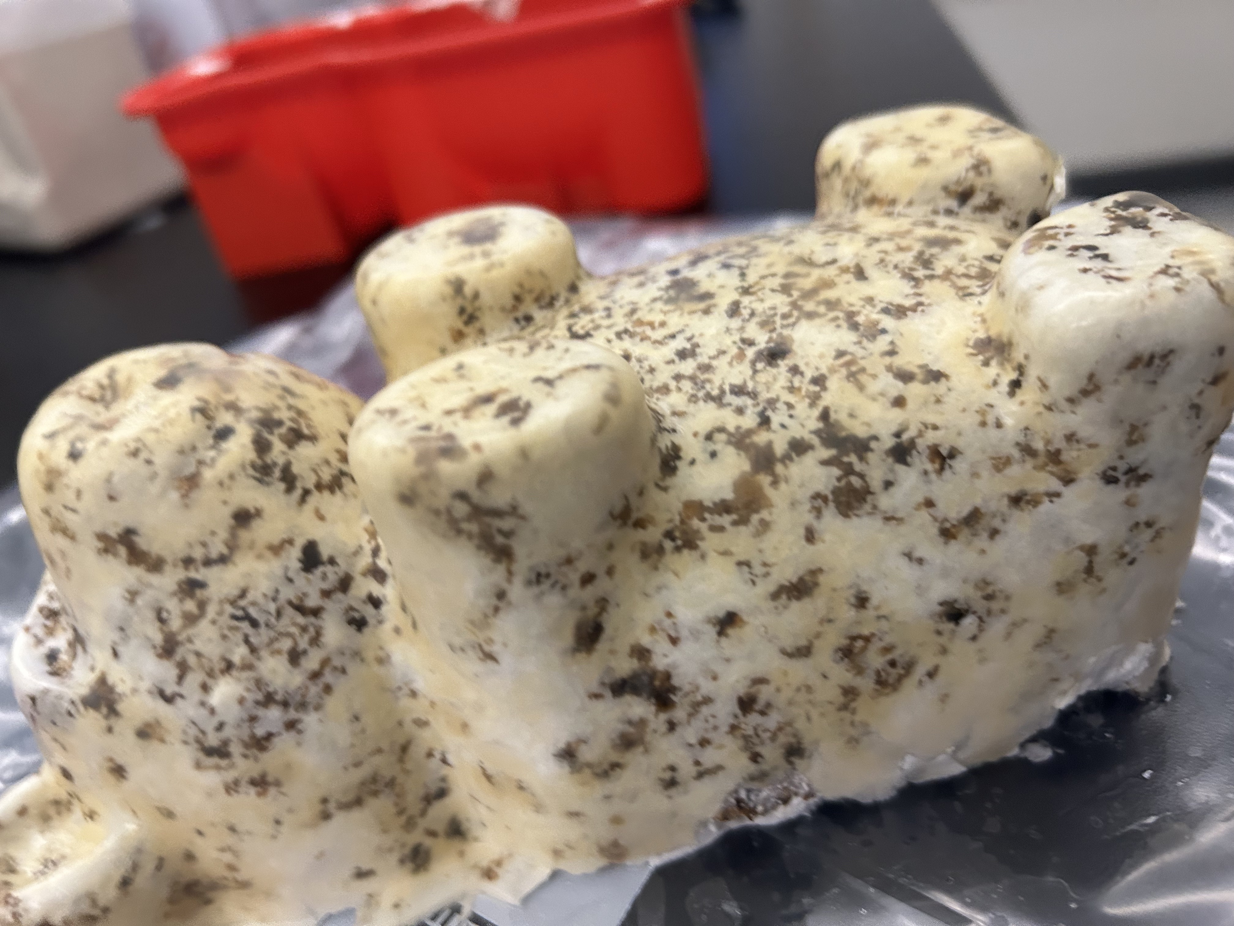 Mycelium sculpture experimentation