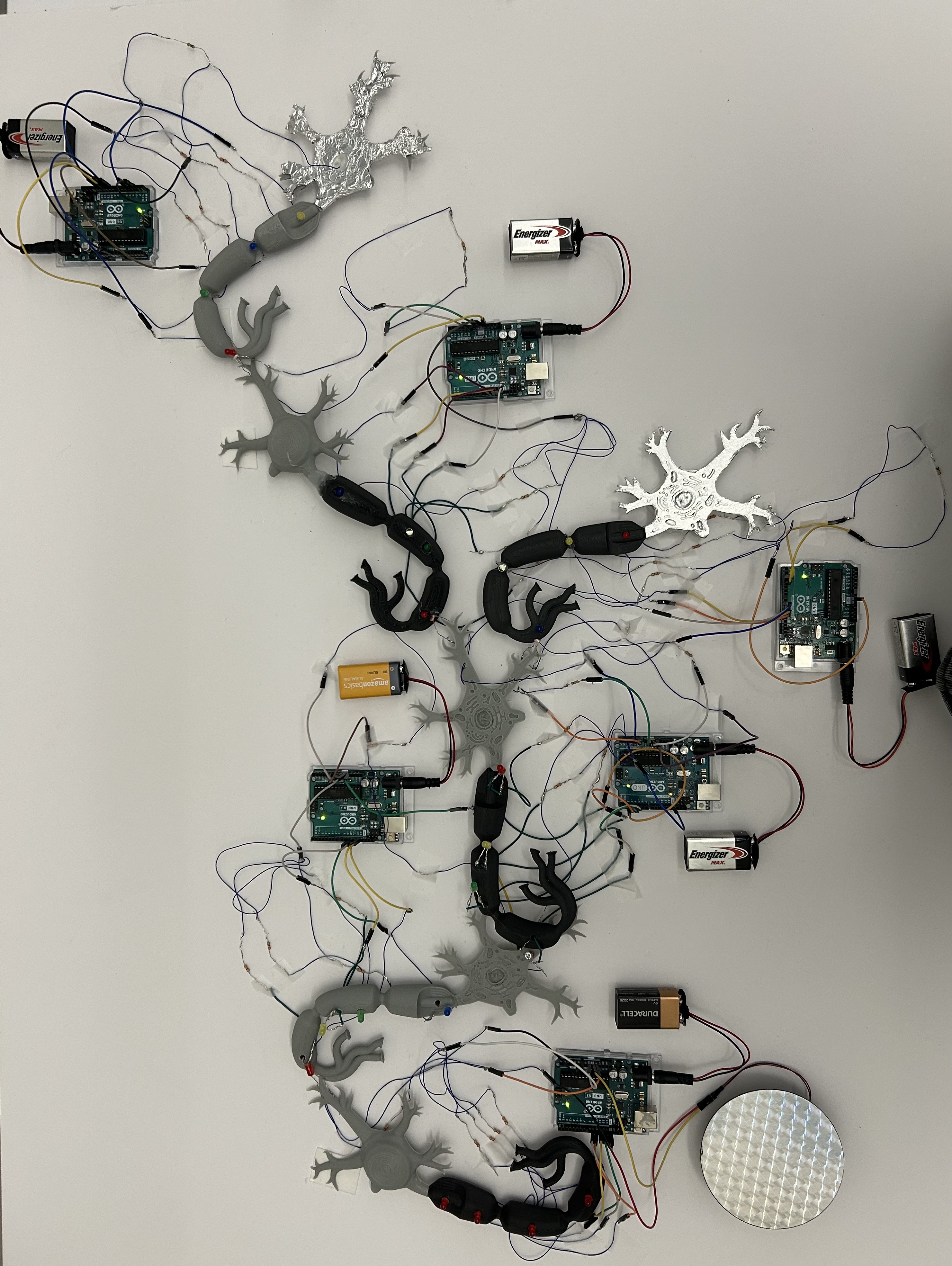 Touch sensory circuit model
