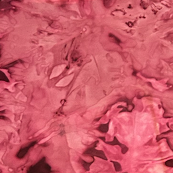 Naturally pigmented bacteria