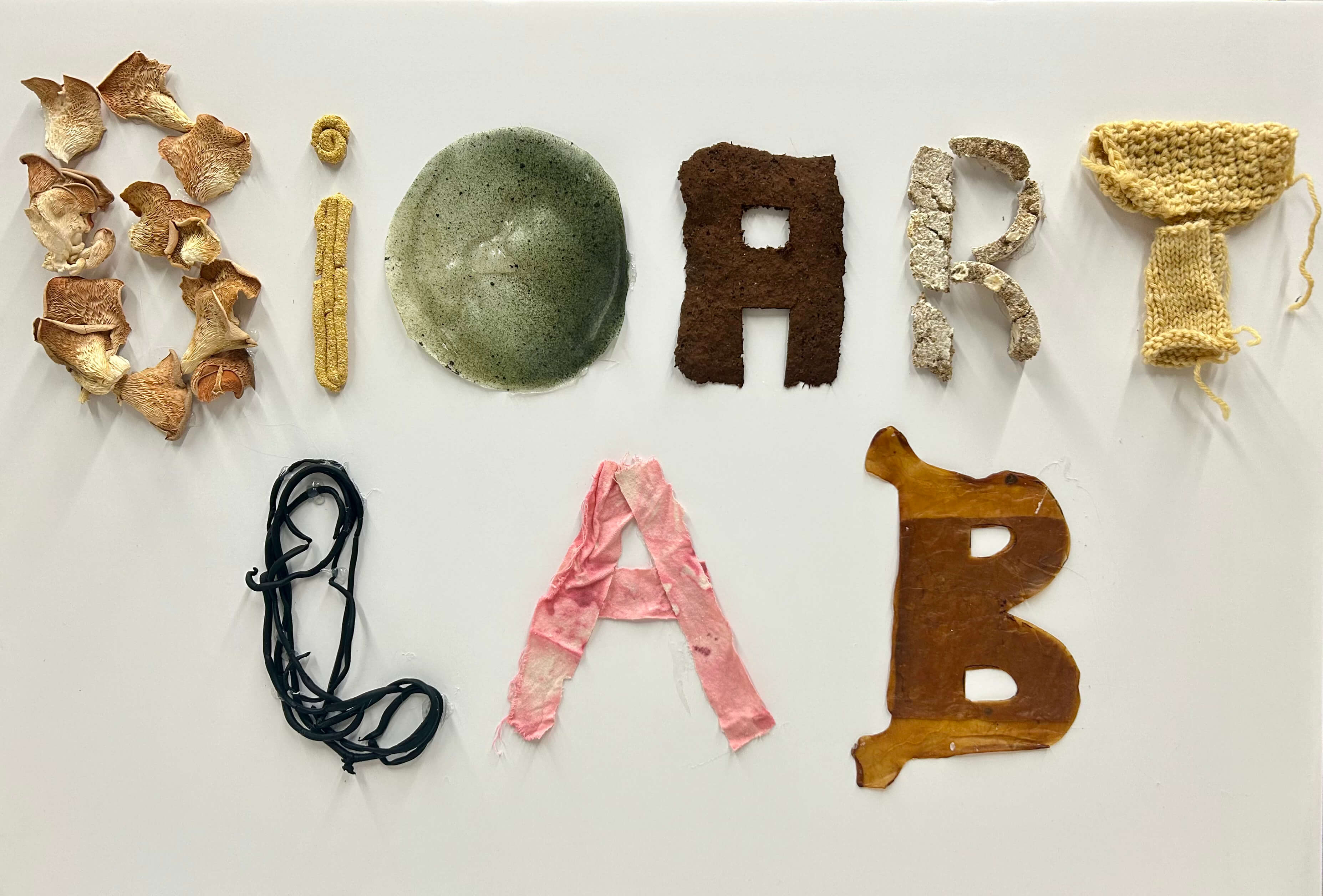Bioart Lab sign