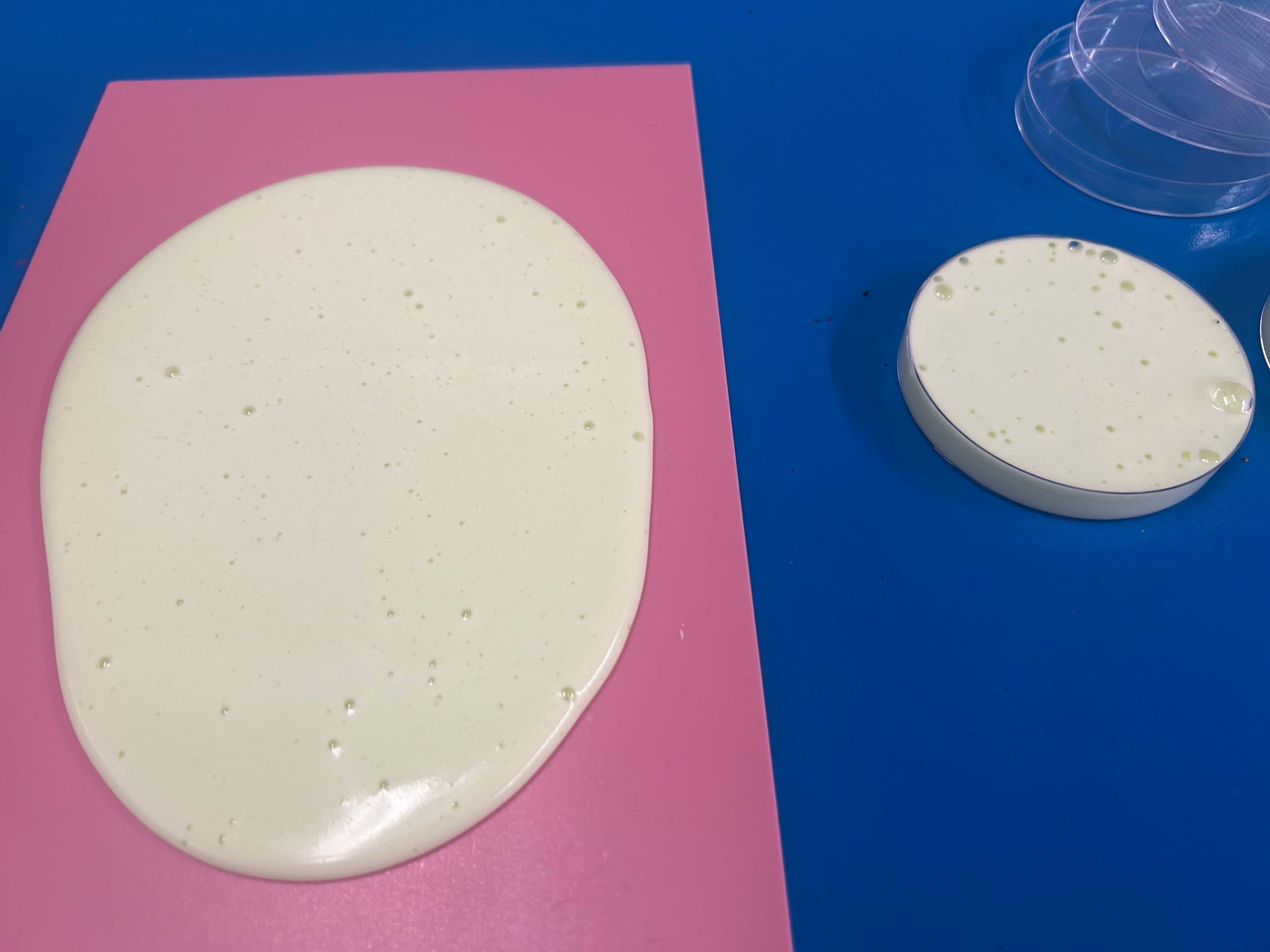 BioFoam samples